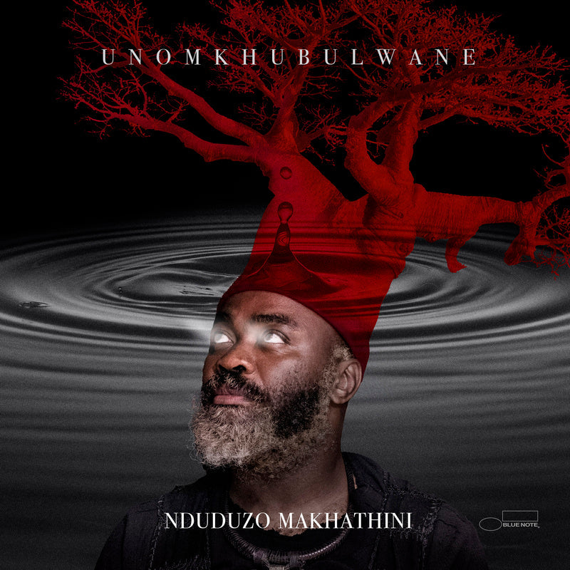 Nduduzo Makhathini - uNomkhubulwane - Double Vinyle