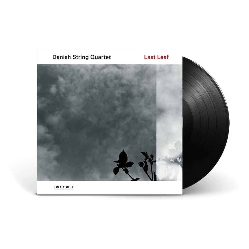 Danish String Quartet - Last Leaf - Vinyle