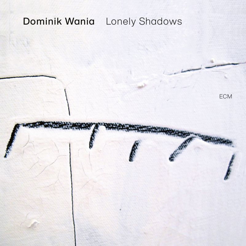 Dominik Wania - Lonely Shadows - Vinyle